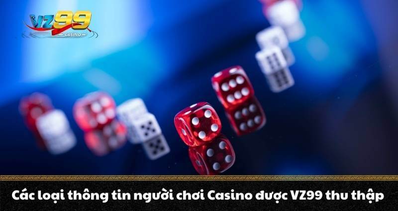 Các loại thông tin người chơi Casino được VZ99 thu thập