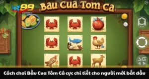 Cách chơi Bầu Cua Tôm Cá cực chi tiết cho người mới bắt đầu